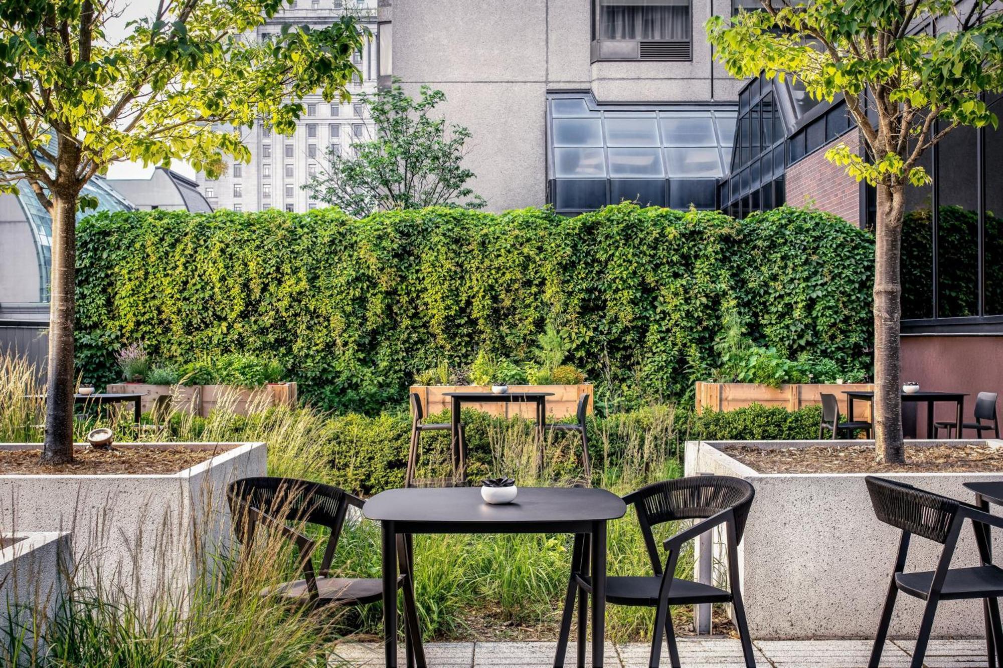 Le Centre Sheraton Montreal Hotel Zewnętrze zdjęcie